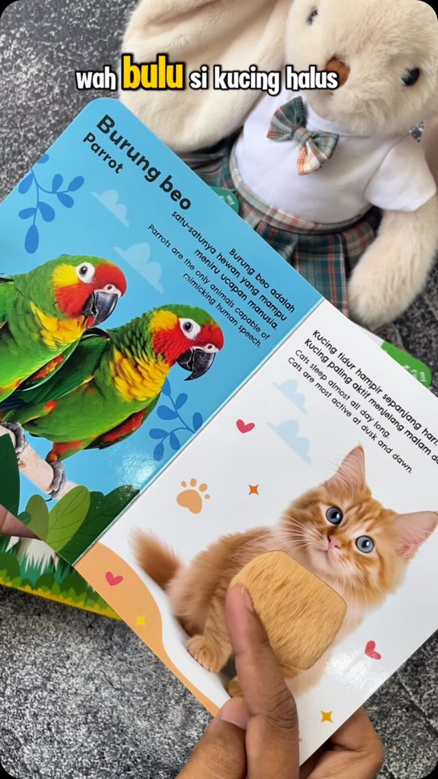 Iklan happybunnybooks buku anak interaktif